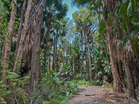 Brambles Green Campground - Tourism Caloundra 1