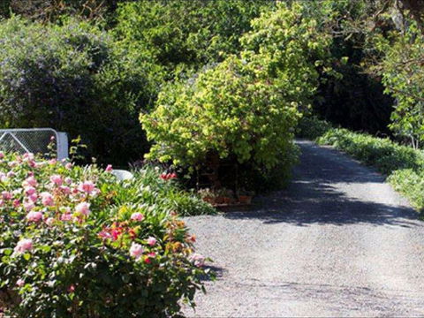 Brown's House Bed & Breakfast - Tourism Caloundra 2