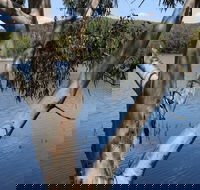 Bumberry Dam - Tourism Caloundra