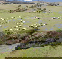 Camp on Allyn - Tourism Caloundra