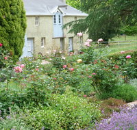 Godolphin Country Accommodation - Tourism Caloundra