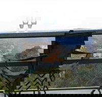 Hatters Hideout Lyres Loft - Tourism Caloundra