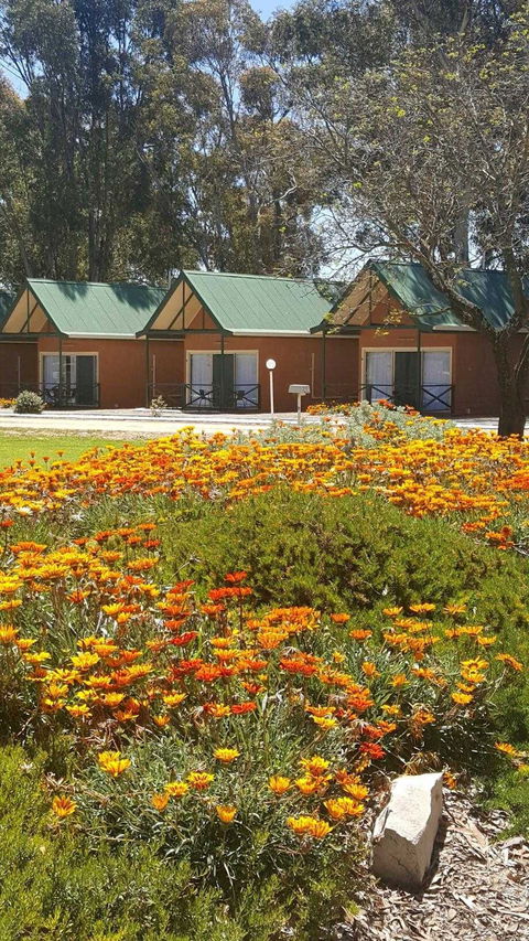 Jamestown Country Retreat Caravan Park - Tourism Caloundra 1