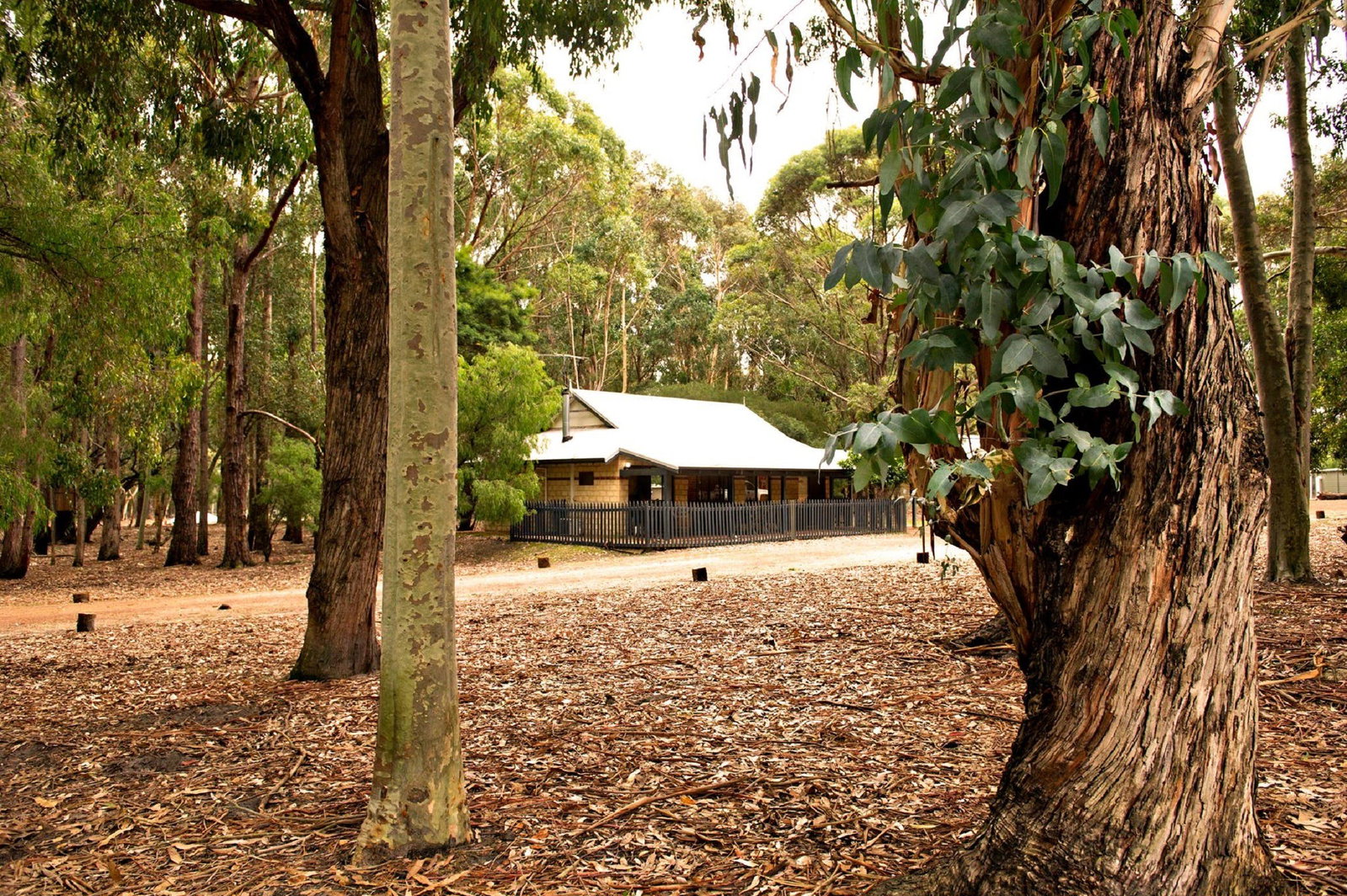 Bramley WA Tourism Caloundra