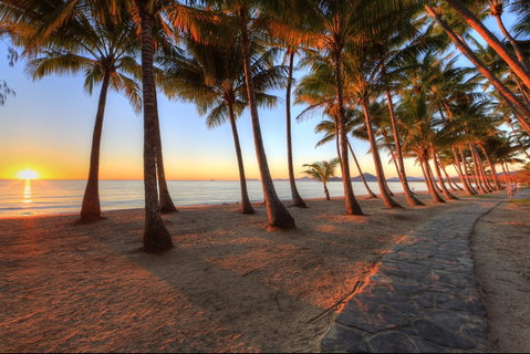 NRMA Palm Cove Holiday Park - Tourism Caloundra 0