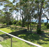 Sabia - Tourism Caloundra