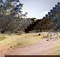 The Pines campground - Tourism Caloundra
