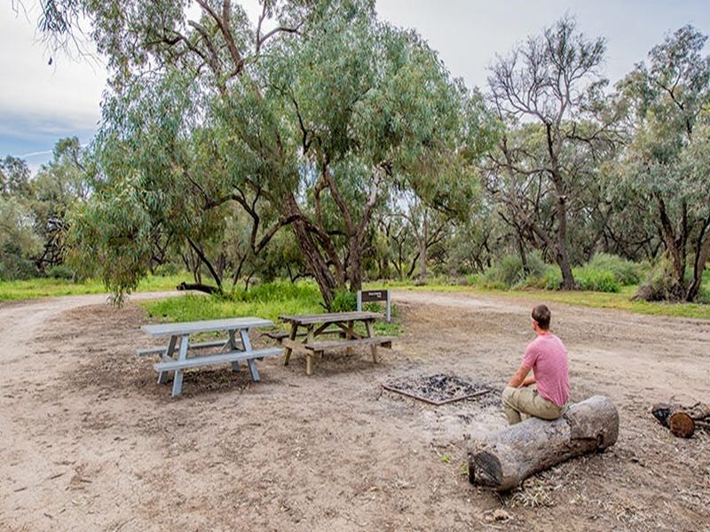 Roto NSW Tourism Caloundra