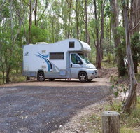 Wollomombi campground - Tourism Caloundra