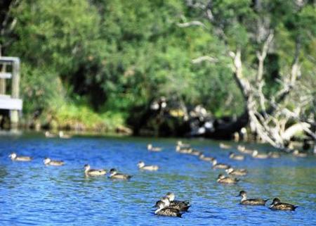 Comfort Inn Yanchep - Tourism Caloundra 4
