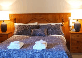 Forest Lodge Resort - Tourism Caloundra 4