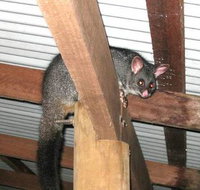 Warren River Resort - Tourism Caloundra