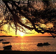 Pelican's Nest - Tourism Caloundra