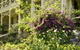 Basildene Manor - thumb 2