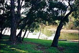 Bushy's Dream Cottages - Tourism Caloundra 3