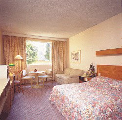 Country Comfort Armidale - Tourism Caloundra 3