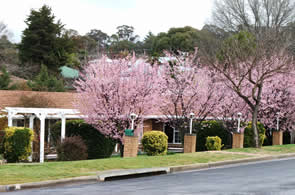 White Lanterns Motel - Tourism Caloundra 1