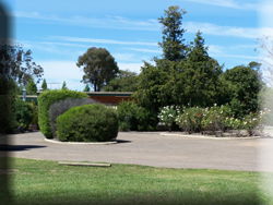 Rose Villa Motel - Tourism Caloundra 1