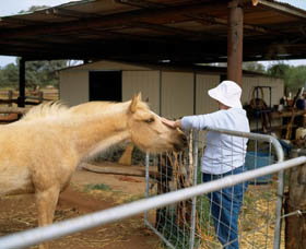 East Murchison WA Tourism Caloundra