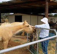 Nallan Station - Tourism Caloundra