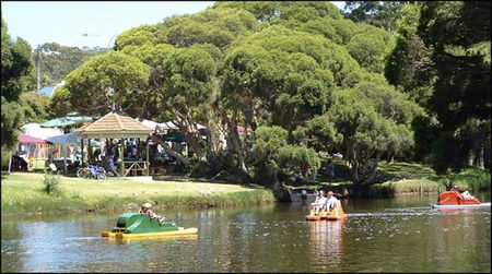 Misty Valley Country Cottages - Tourism Caloundra 2