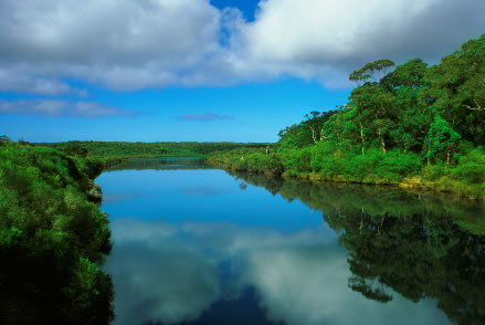 Nutkin Lodge - Tourism Caloundra 3