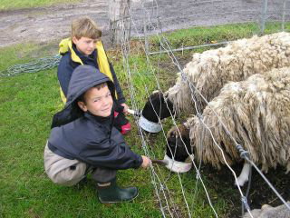 Meerup Springs Farmstay - Tourism Caloundra 3