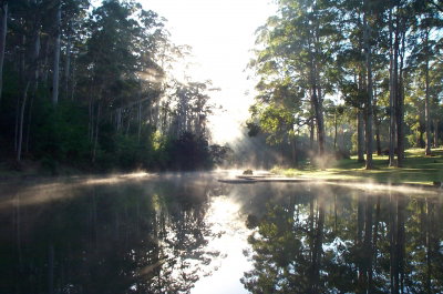 Pemberton Camp School - Tourism Caloundra 3