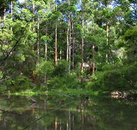 Peppermint Grove Retreat - Tourism Caloundra