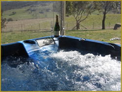 Henlie Park Bed & Breakfast - Tourism Caloundra 1