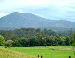 Bellingen Farmstay - Tourism Caloundra 4
