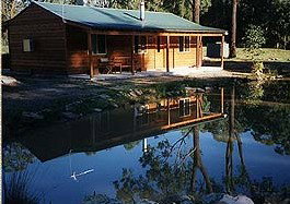 Bush Haven - Tourism Caloundra 2