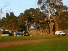Ayr Sailean - Tourism Caloundra 5