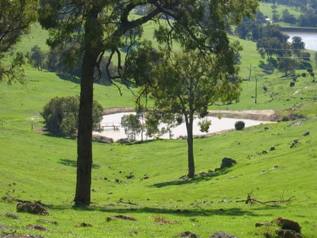 Vista Ridge Estate - Top Paddock Cottage - Tourism Caloundra 3