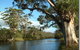 The Coombe On Wilson Inlet - thumb 5