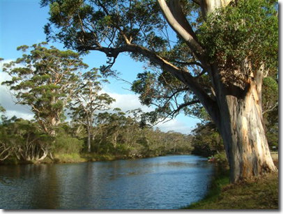 The Coombe On Wilson Inlet - Tourism Caloundra 5