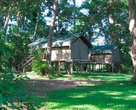 Lions Den Hotel - Tourism Caloundra 3