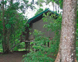 Lions Den Hotel - Tourism Caloundra 4