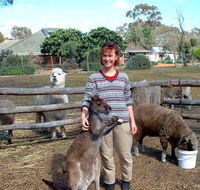 Kemminup Farm - Tourism Caloundra