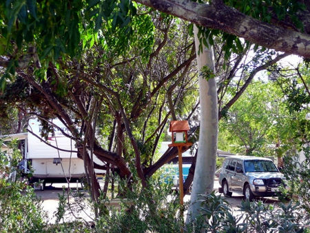 Kojonup Caravan Park - Tourism Caloundra 1