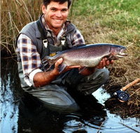 Clover Cottage Country Retreat - Tourism Caloundra