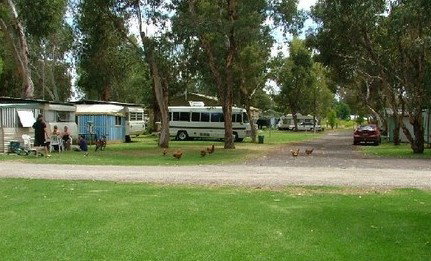 Harvey Rainbow Caravan Park - Tourism Caloundra 0