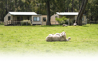 Cambray Cottages - Tourism Caloundra 1
