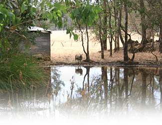 Cambray Cottages - Tourism Caloundra 3