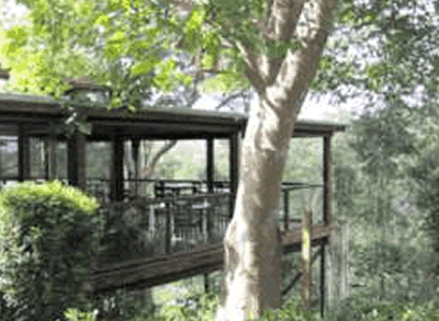 Watagan Lodge - Tourism Caloundra 5