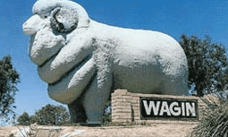 Wagin Motel - Tourism Caloundra