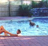 Shark Bay Caravan Park - Tourism Caloundra