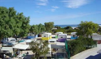 Shark Bay Caravan Park - Tourism Caloundra 2