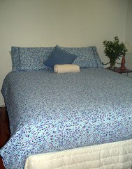 Bawley Point Bungalows - Tourism Caloundra 3