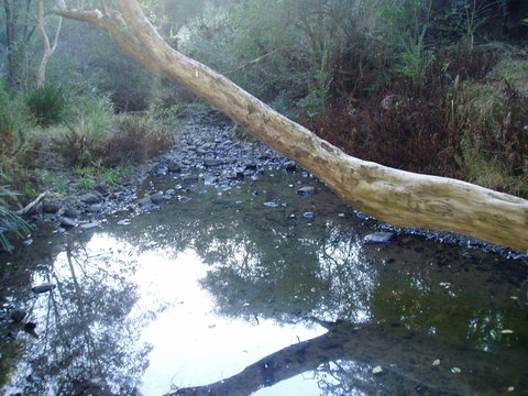 Barkeldine Farm Country Retreat - Tourism Caloundra 1